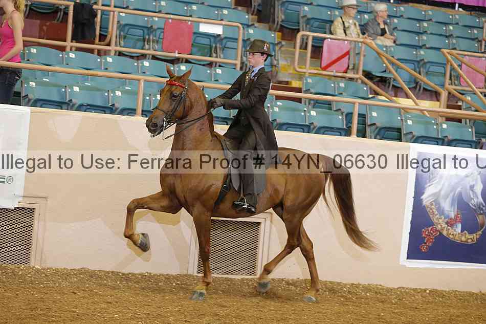 Proof 14yn_06630