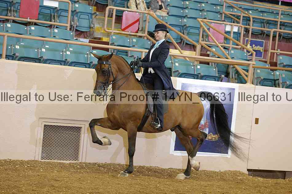 Proof 14yn_06631