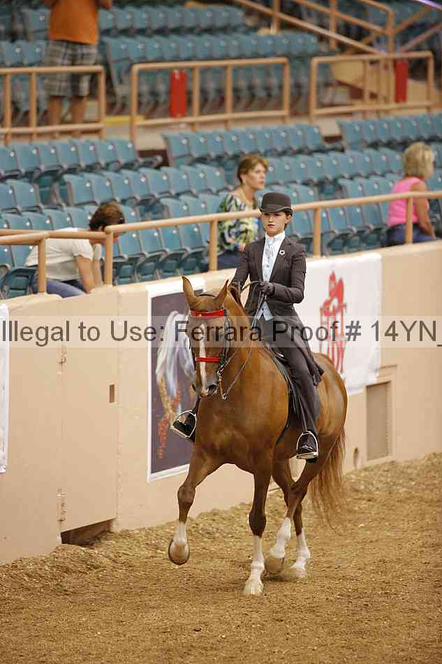 Proof 14yn_06632