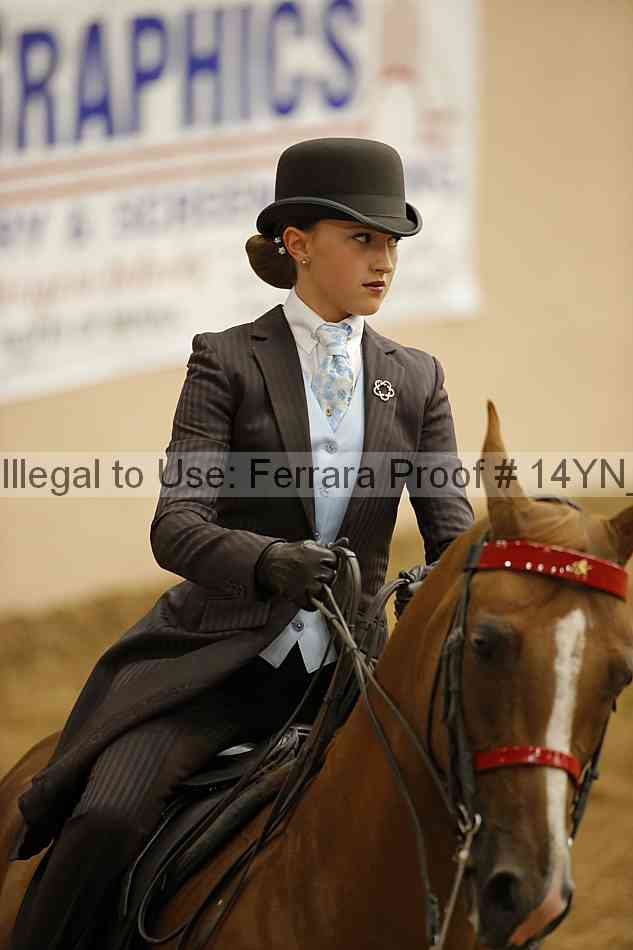 Proof 14yn_06634