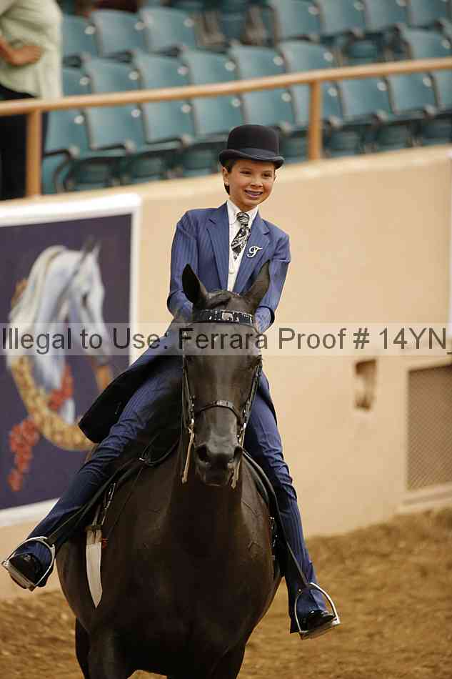 Proof 14yn_06635