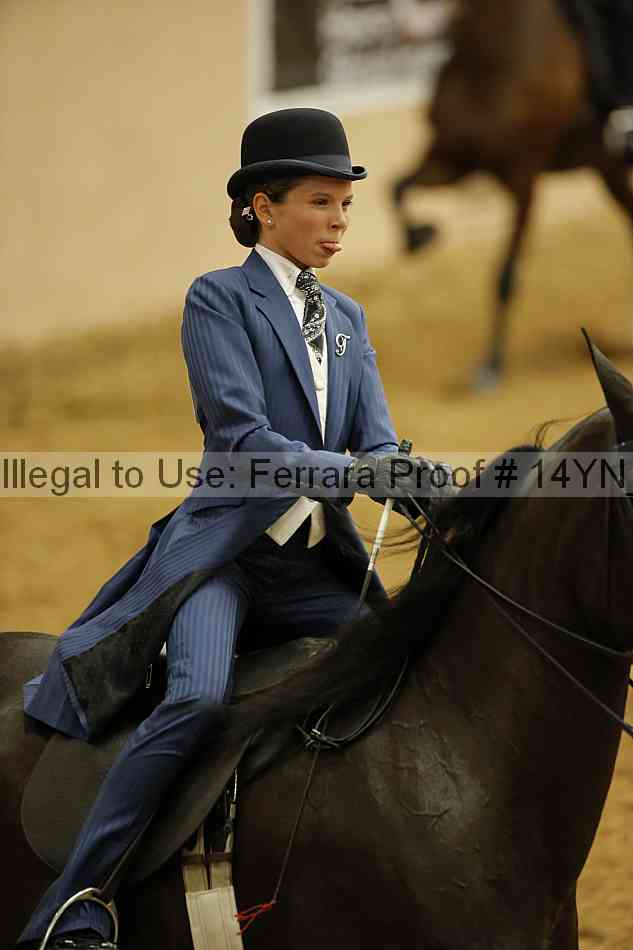 Proof 14yn_06636