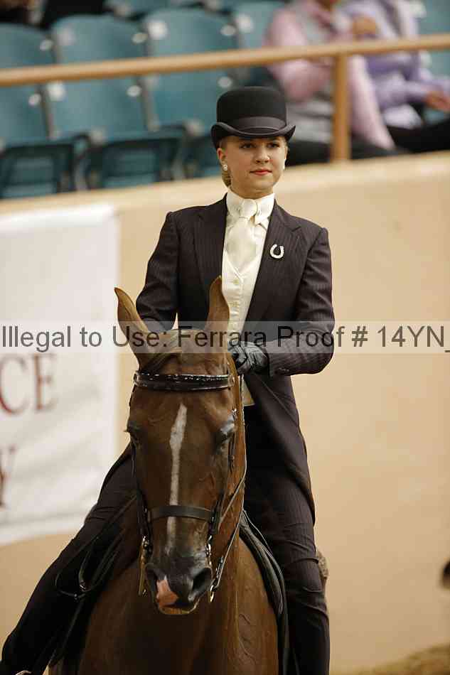 Proof 14yn_06638