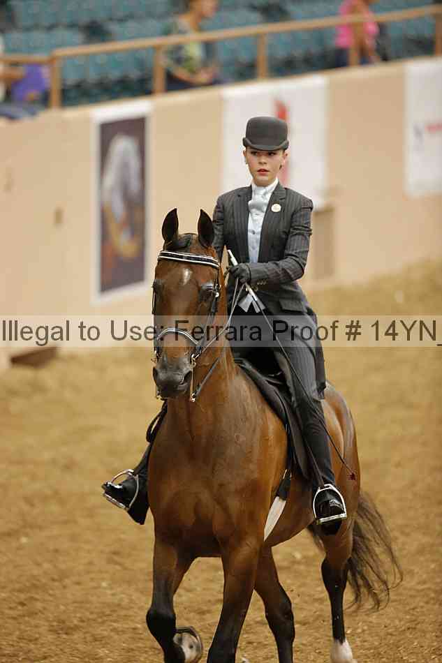 Proof 14yn_06639