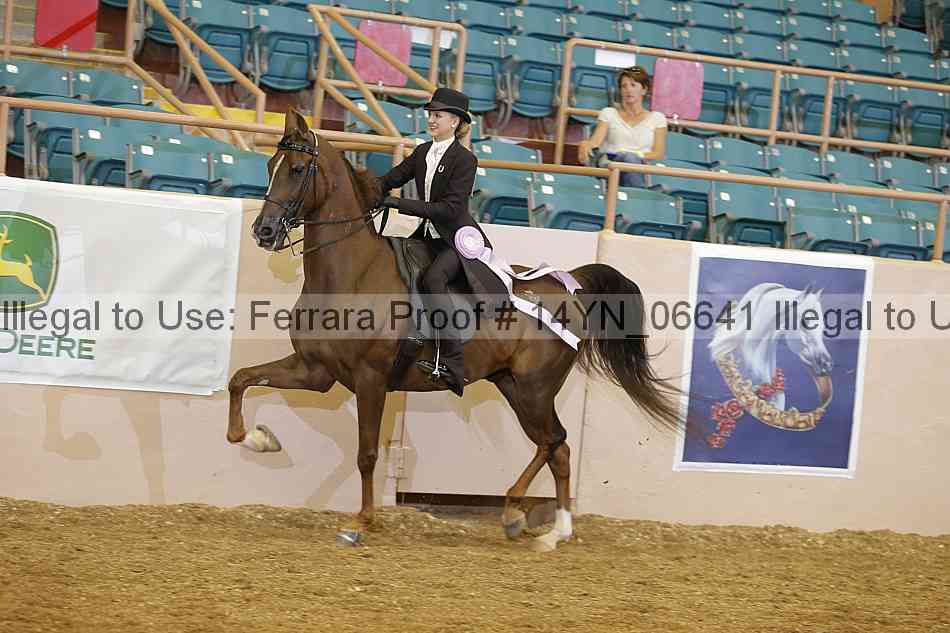 Proof 14yn_06641
