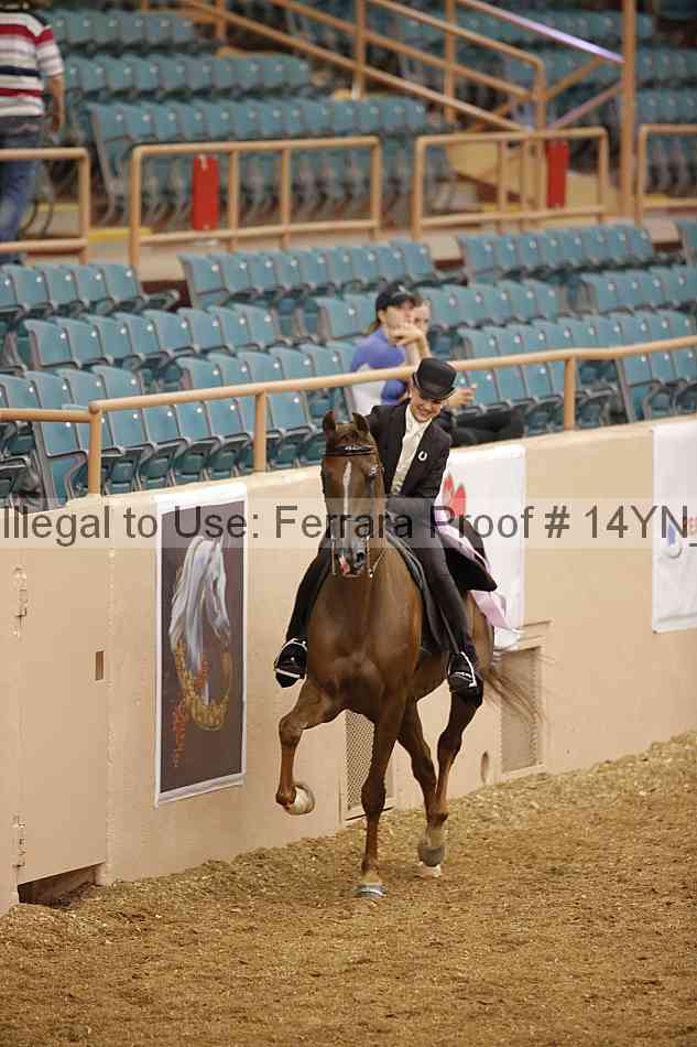 Proof 14yn_06642