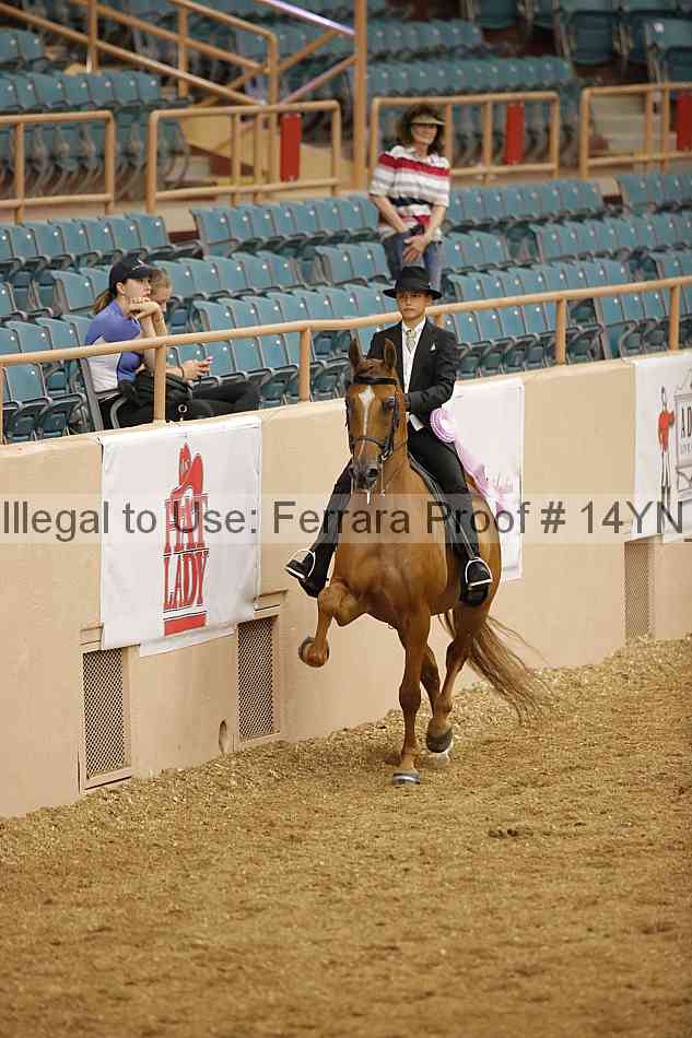 Proof 14yn_06646