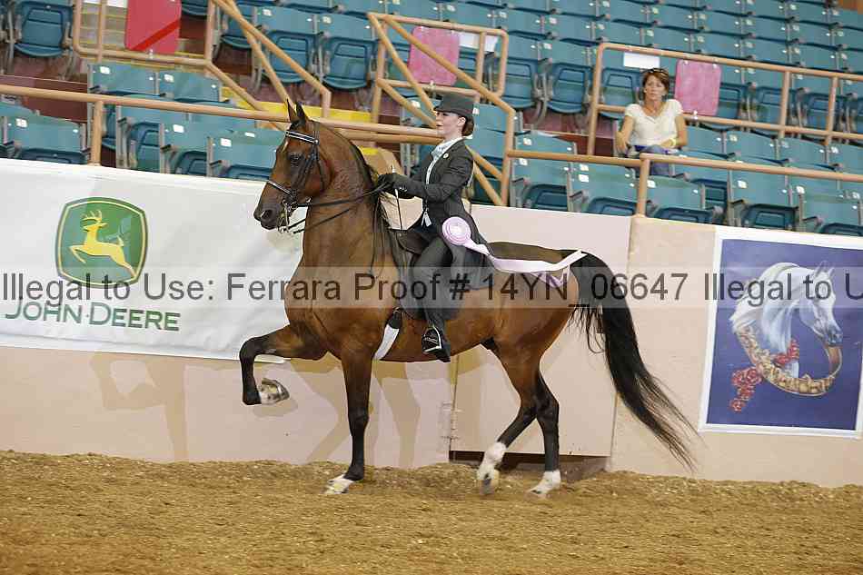 Proof 14yn_06647