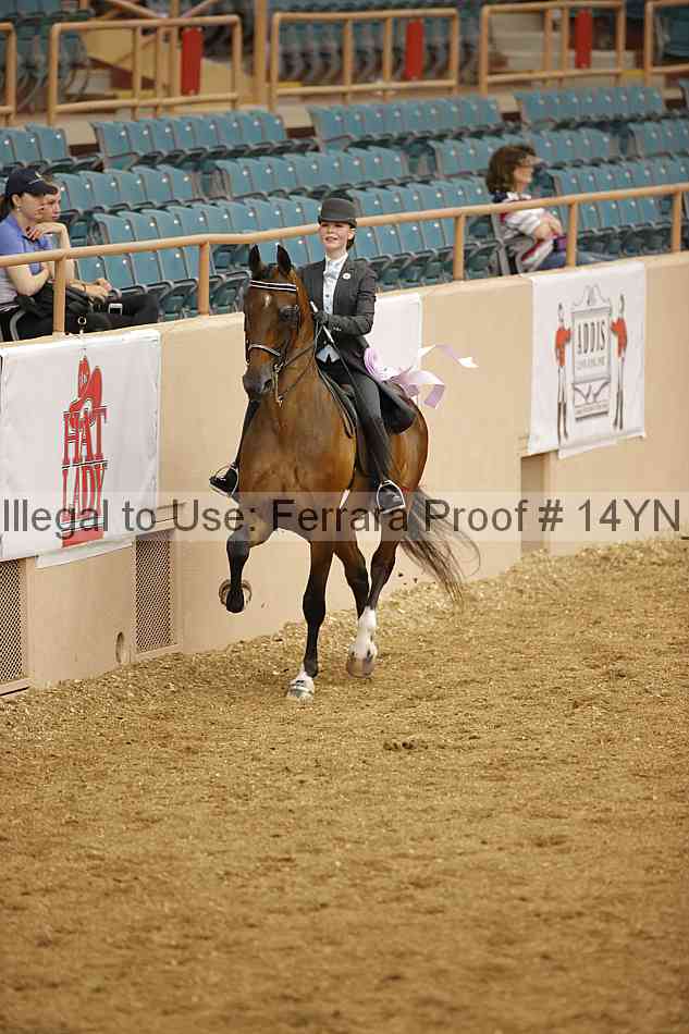Proof 14yn_06648
