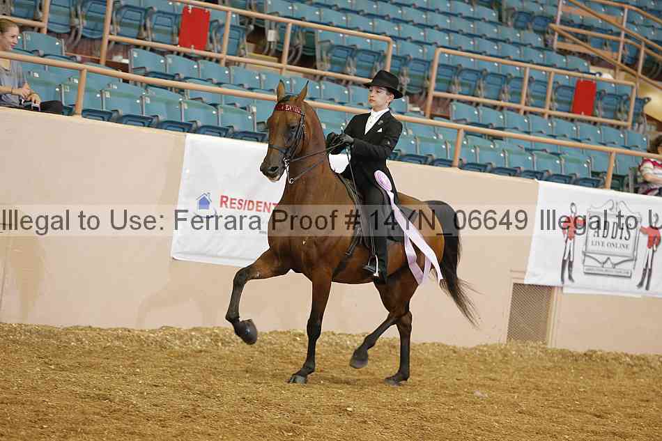 Proof 14yn_06649