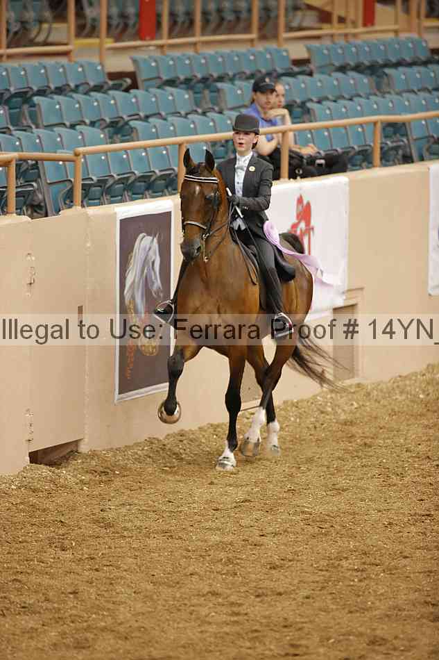 Proof 14yn_06650