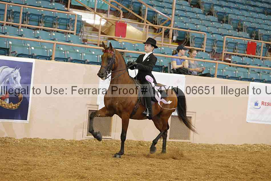 Proof 14yn_06651