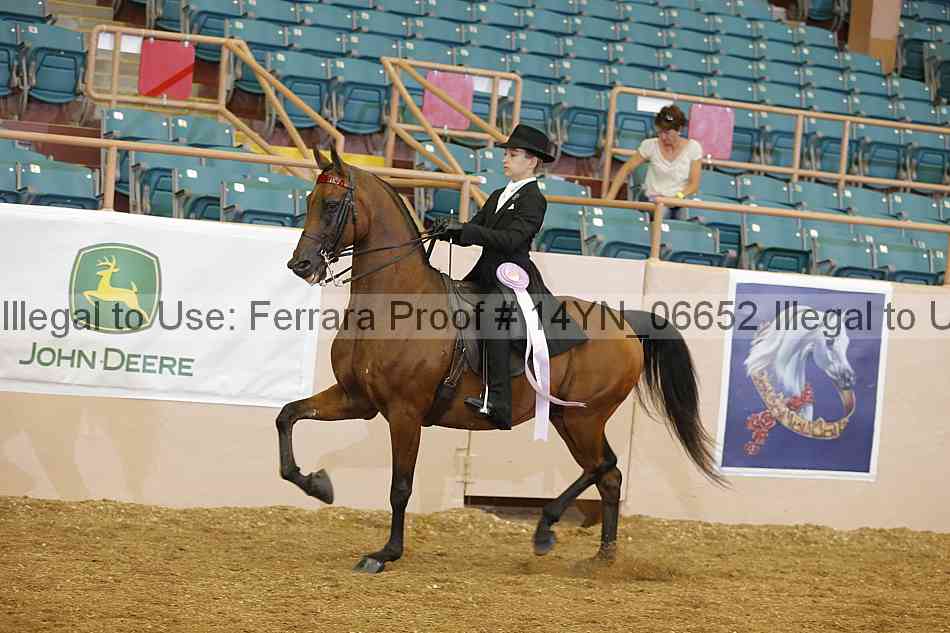 Proof 14yn_06652