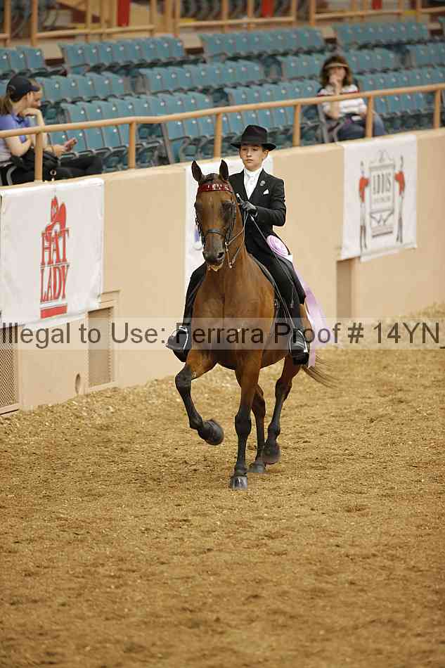 Proof 14yn_06653