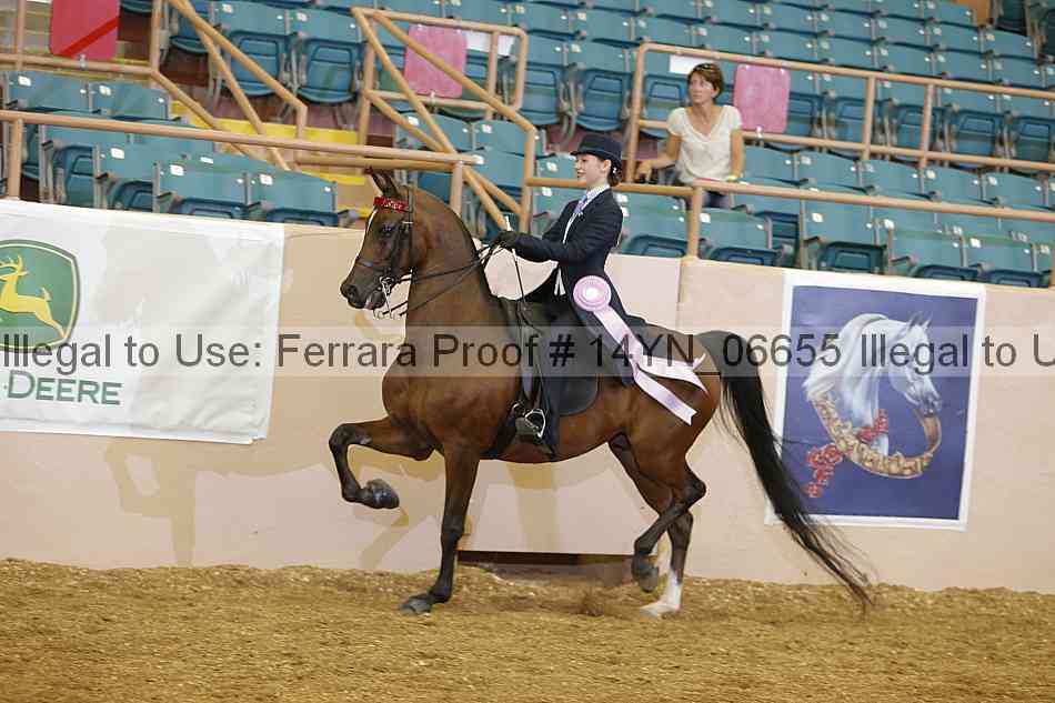 Proof 14yn_06655