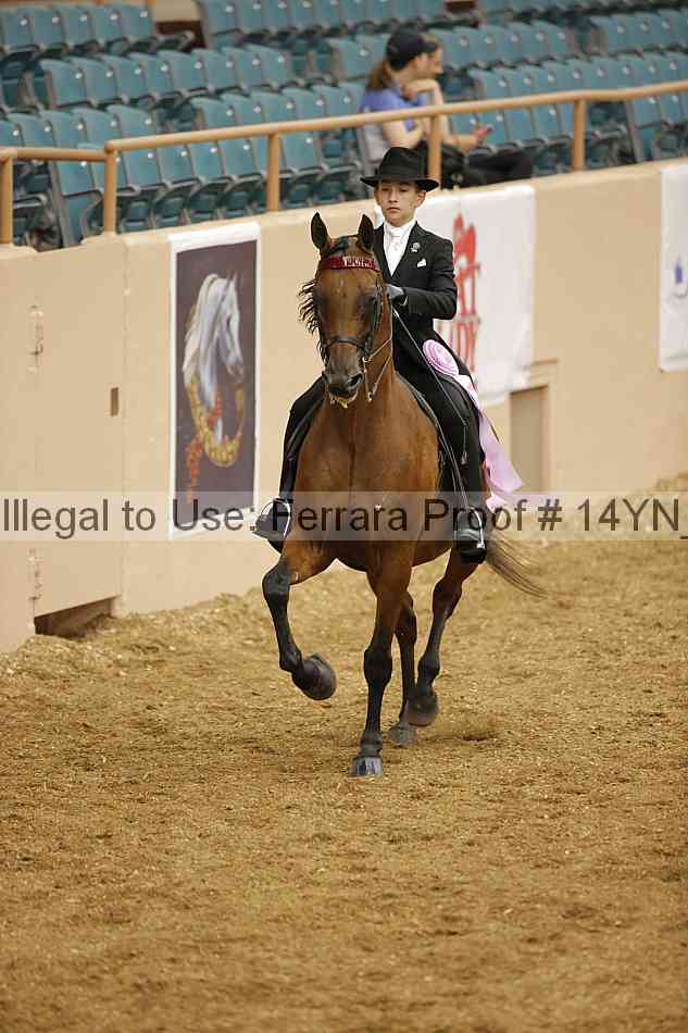 Proof 14yn_06656