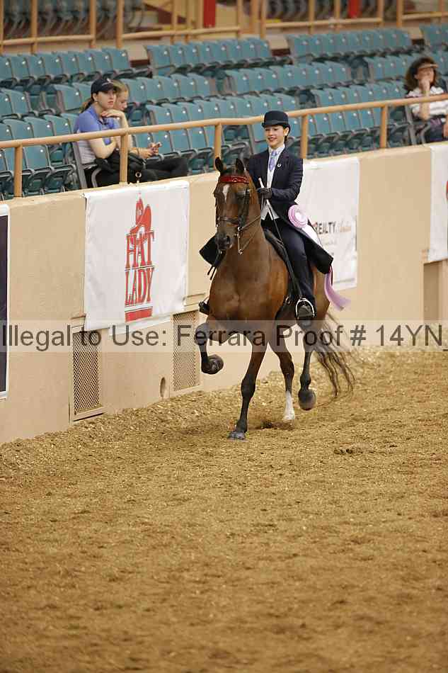 Proof 14yn_06657
