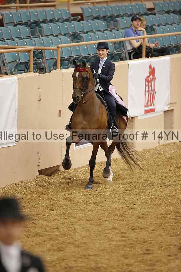 Proof 14yn_06658
