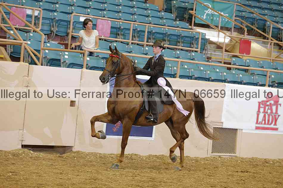 Proof 14yn_06659