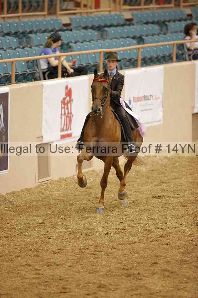 Proof 14yn_06660