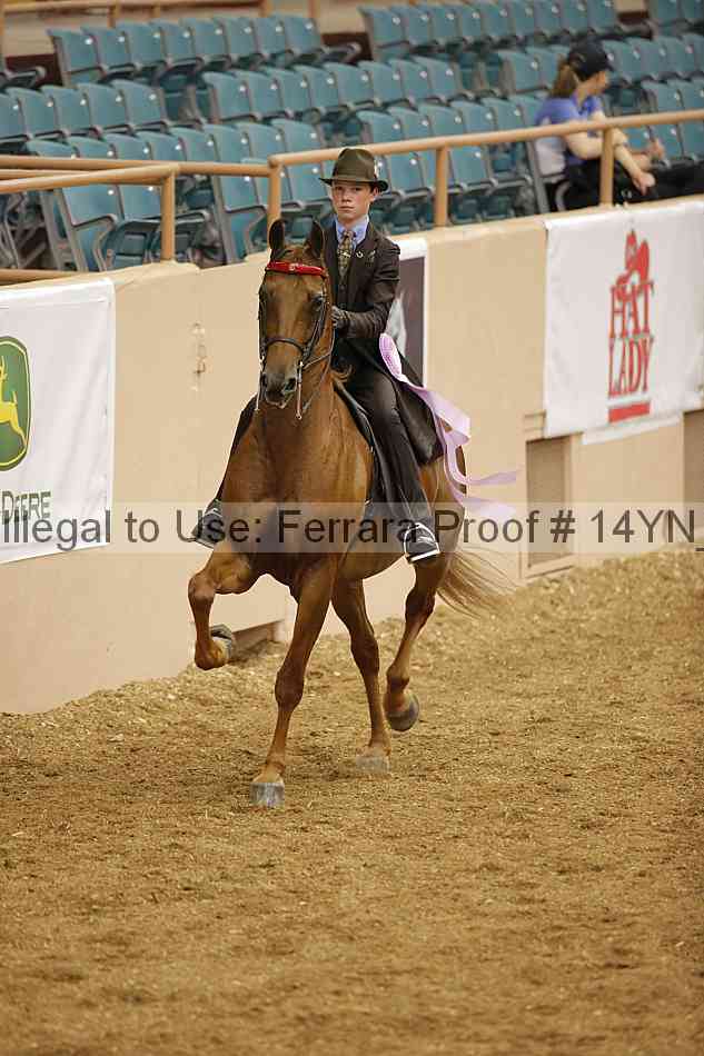 Proof 14yn_06661