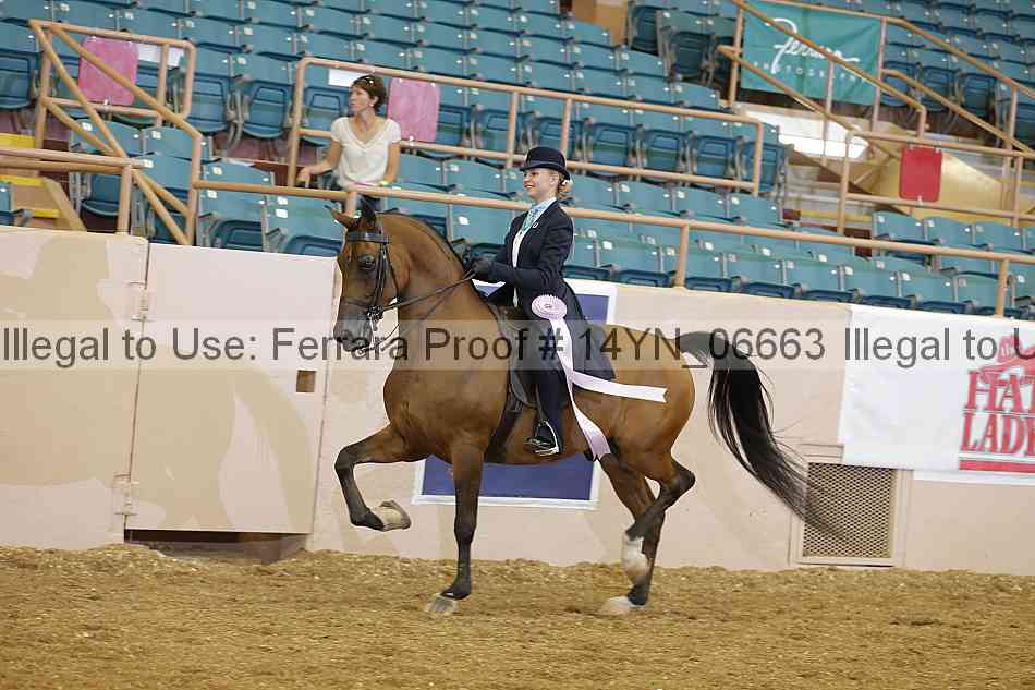 Proof 14yn_06663