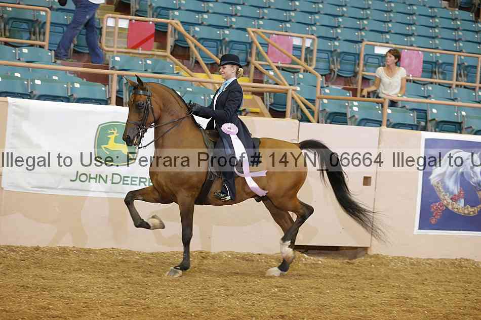 Proof 14yn_06664