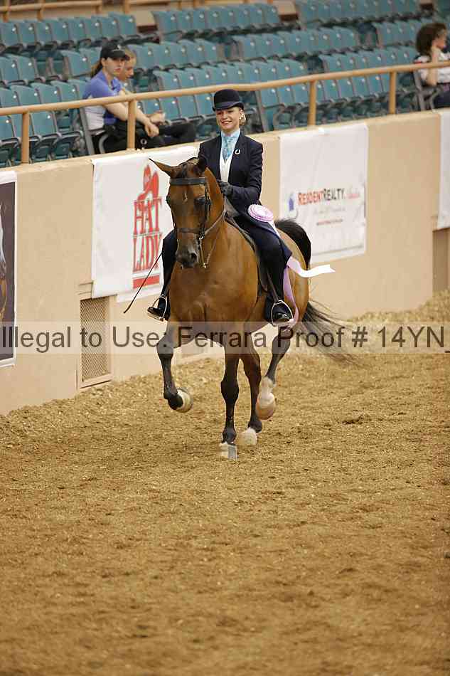 Proof 14yn_06665