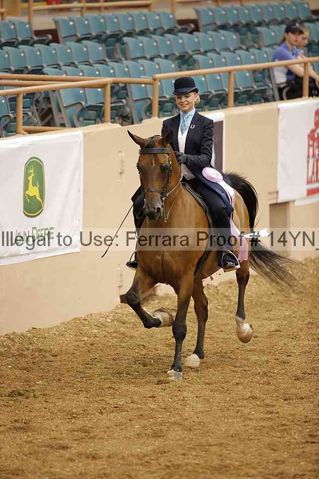 Proof 14yn_06666