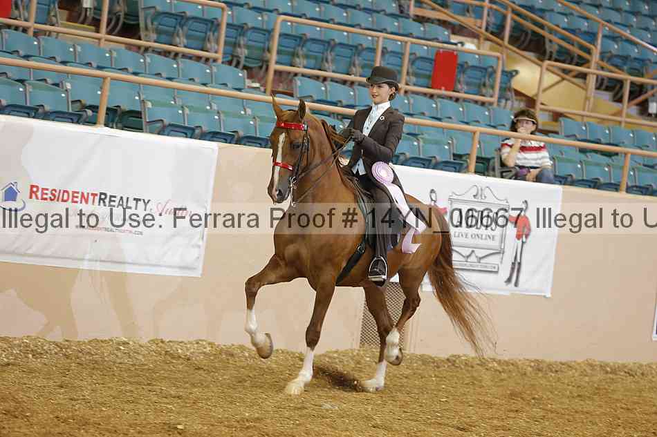 Proof 14yn_06667