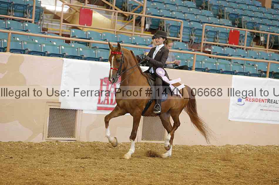 Proof 14yn_06668