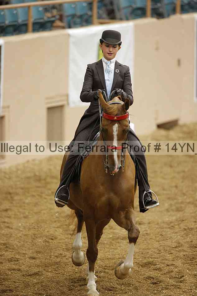 Proof 14yn_06669