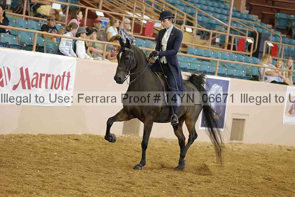 Proof 14yn_06671