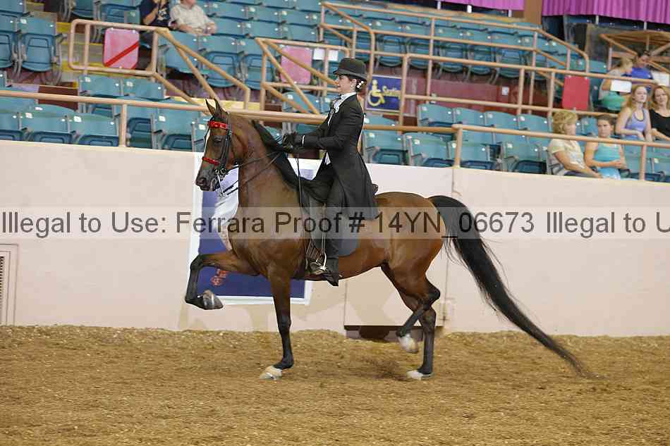 Proof 14yn_06673