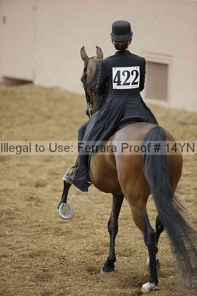 Proof 14yn_06674