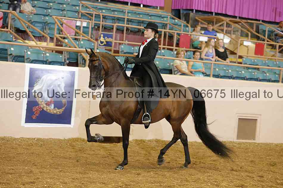 Proof 14yn_06675