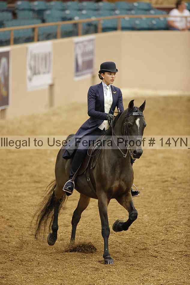 Proof 14yn_06676