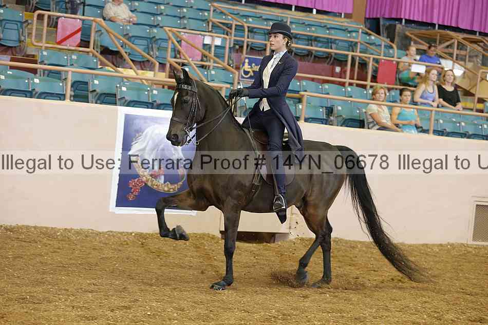 Proof 14yn_06678