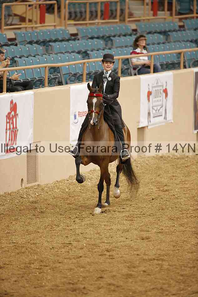 Proof 14yn_06679