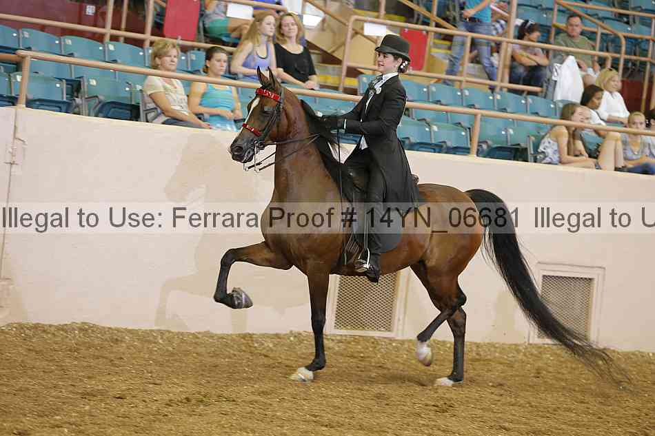 Proof 14yn_06681