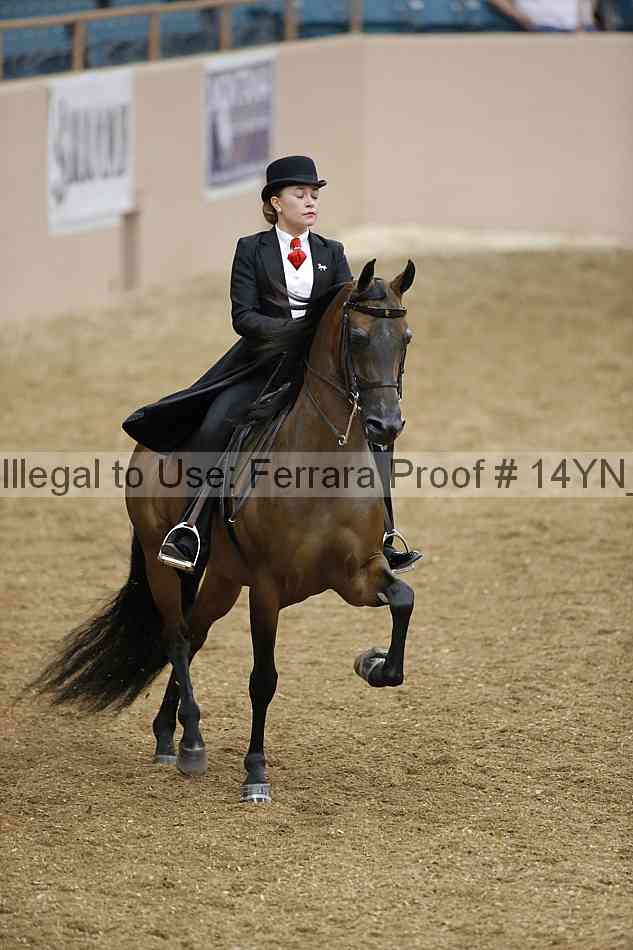 Proof 14yn_06682