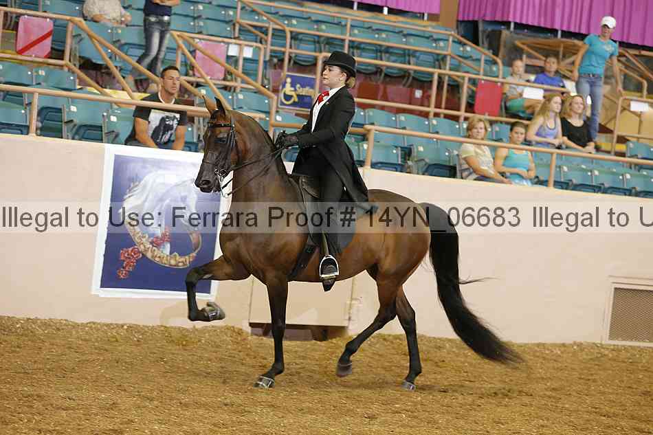Proof 14yn_06683