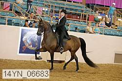 14yn_06683 proof