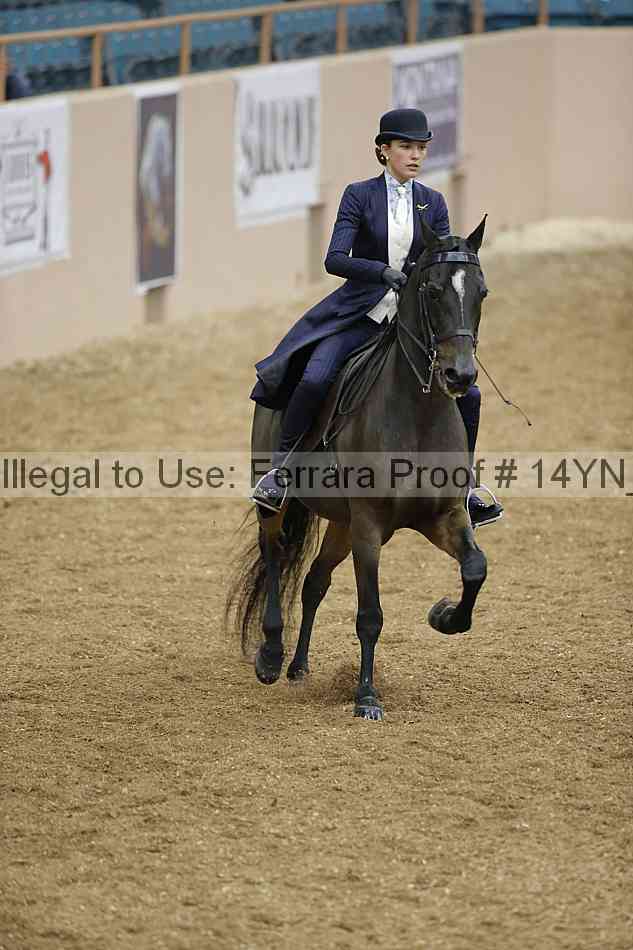 Proof 14yn_06684