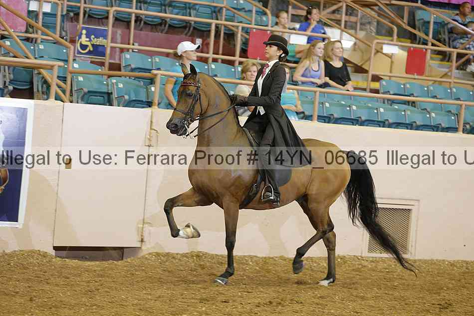 Proof 14yn_06685