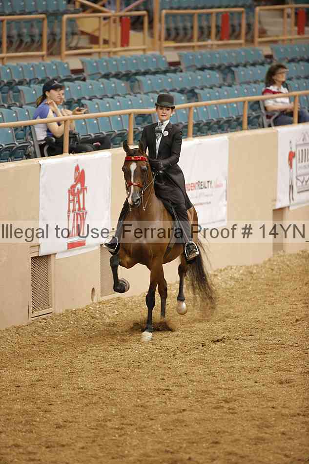Proof 14yn_06686