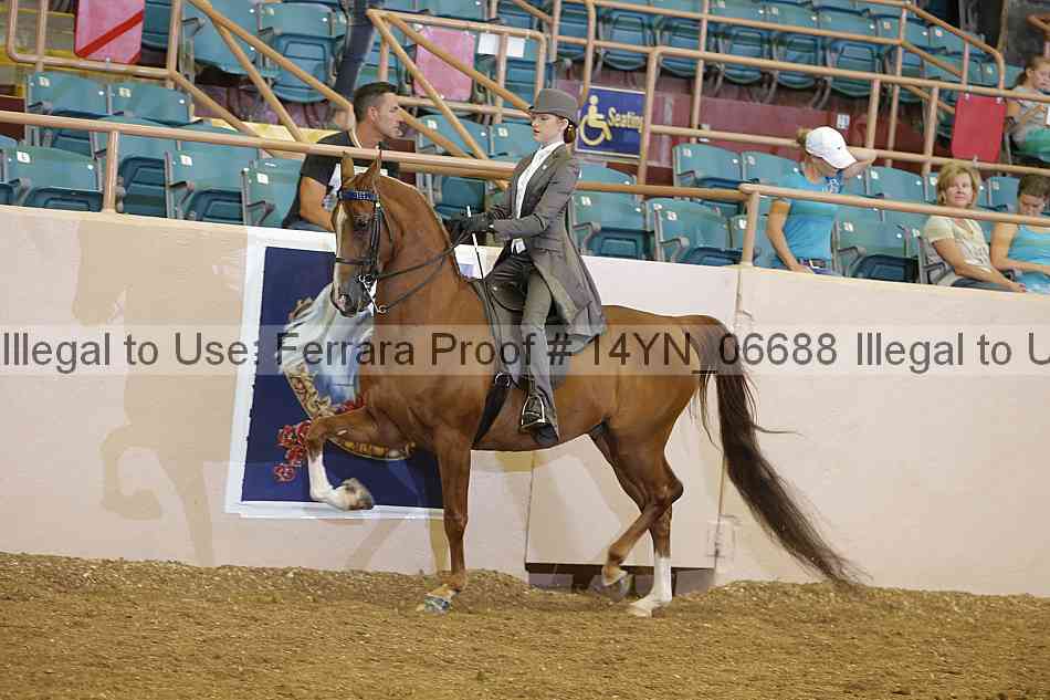 Proof 14yn_06688