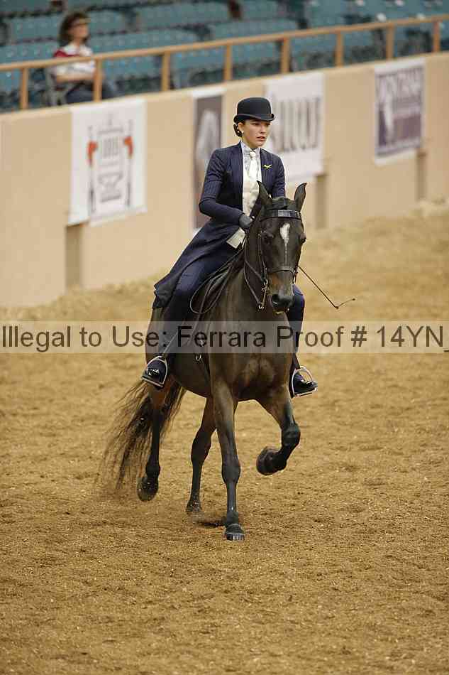 Proof 14yn_06689