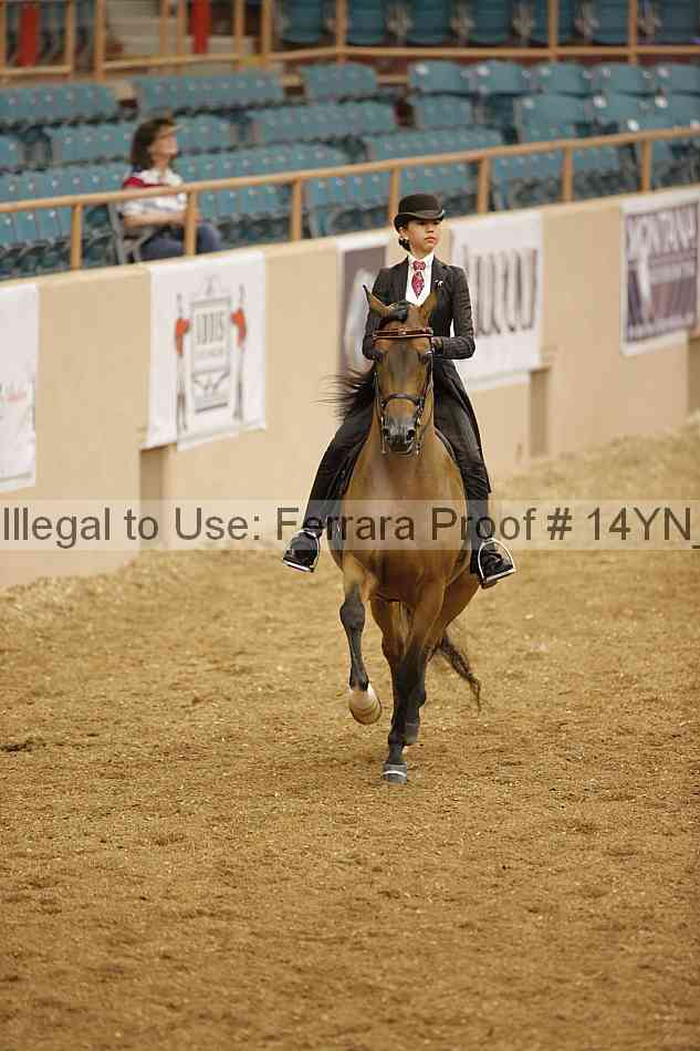 Proof 14yn_06691