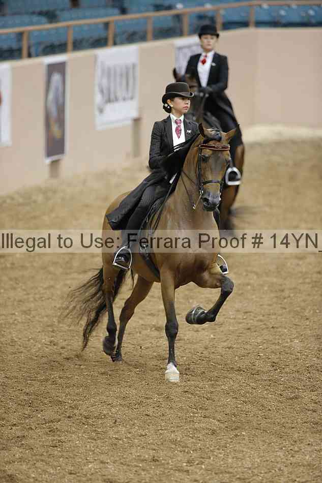 Proof 14yn_06692